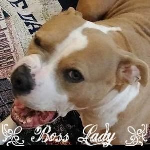 Meet your Posher, Scotty